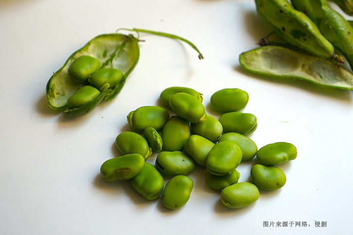 新西蘭蠶豆進口報關(guān)費用