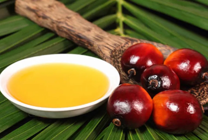 馬來西亞棕櫚油進口報關(guān)