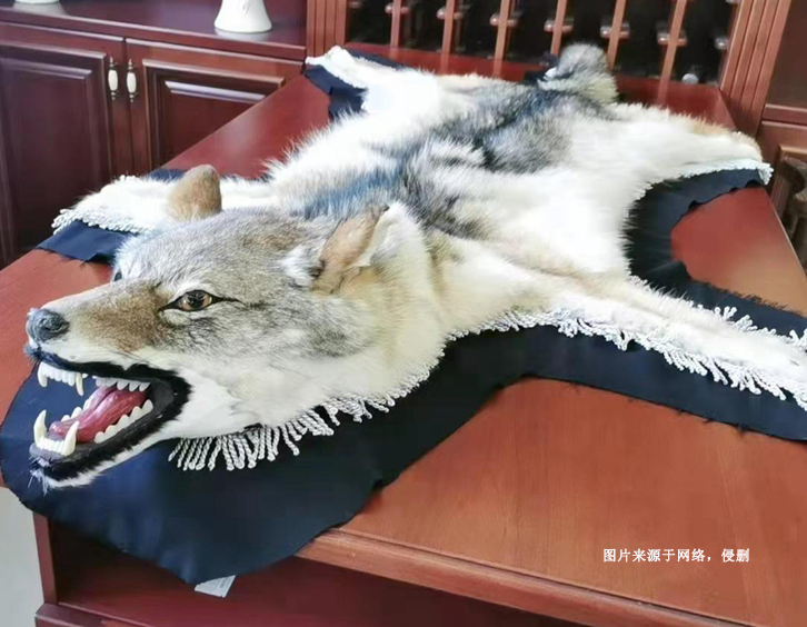 進(jìn)口狼野生動(dòng)物標(biāo)本報(bào)關(guān)資料