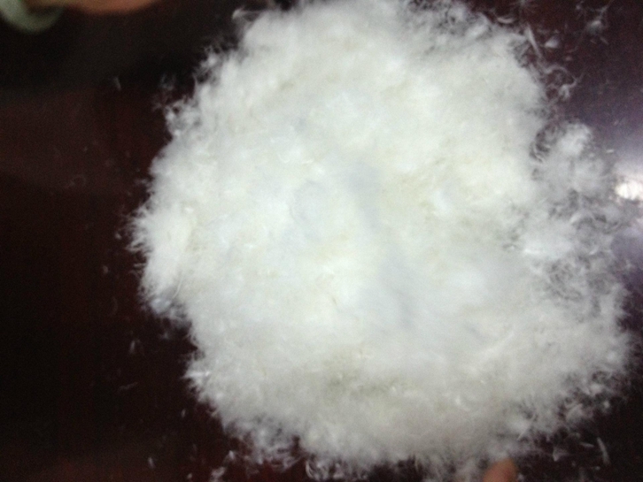 波蘭羽絨進口報關(guān)流程