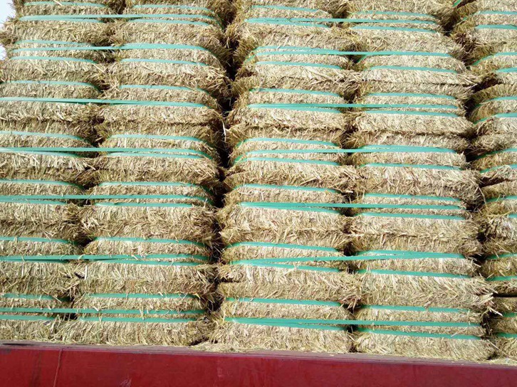 澳大利亞燕麥草進(jìn)口報(bào)關(guān)資料