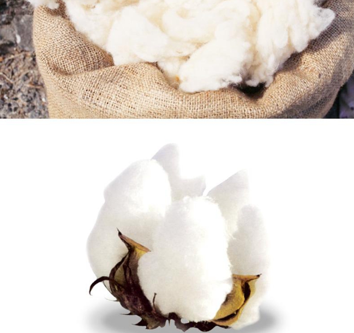 羊毛進(jìn)口清關(guān)要多久