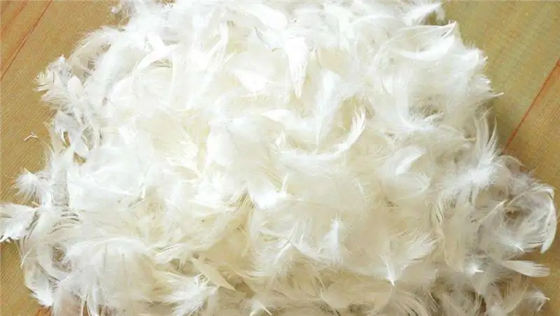 匈牙利羽絨鴨毛進口報關資料