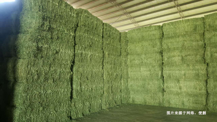 進(jìn)口哈薩克斯坦苜蓿草報(bào)關(guān)資料