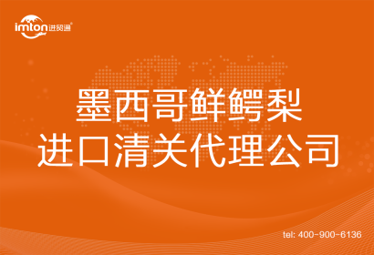 墨西哥鮮鱷梨進(jìn)口清關(guān)代理公司