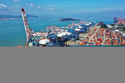 廈門進口報關公司哪家好？福建進口報關行排名前十