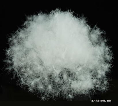 越南水洗羽絨進口報關流程_越南準入水洗羽毛企業