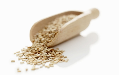 深圳芝麻進口清關(guān)代理服務(wù)