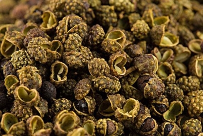 葵花籽粕進(jìn)口清關(guān)注意事項(xiàng)_葵花籽粕進(jìn)口流程