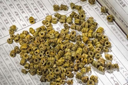 石斛進(jìn)出口所需要的單證和注意要點(diǎn)