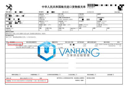 黃牛牛皮紙進口報關到上海外高橋服務