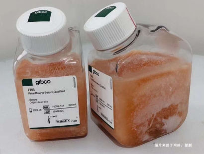 進(jìn)口新西蘭牛血清蛋白報(bào)關(guān)資質(zhì)-19年生物制品報(bào)關(guān)行