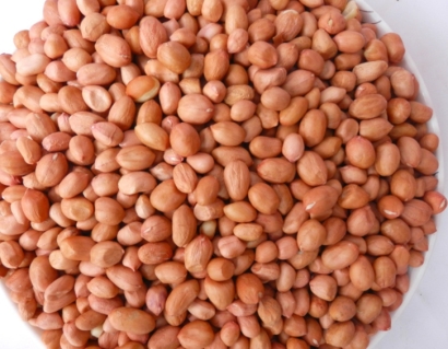 廣州花生米進口報關(guān)代理需要什么資料