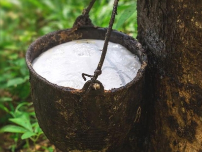 深圳橡膠進(jìn)口報(bào)關(guān)流程及天然橡膠進(jìn)口清關(guān)手續(xù)