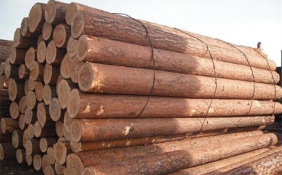 從歐洲進口木材清關(guān)這樣做!進口木材是這樣的