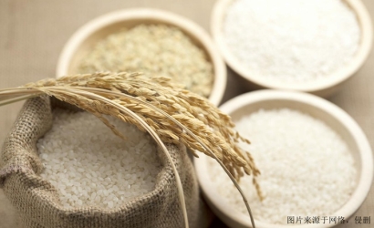 廣州進口食品報關(guān)代理_廣州臻力提供一站式解決方案