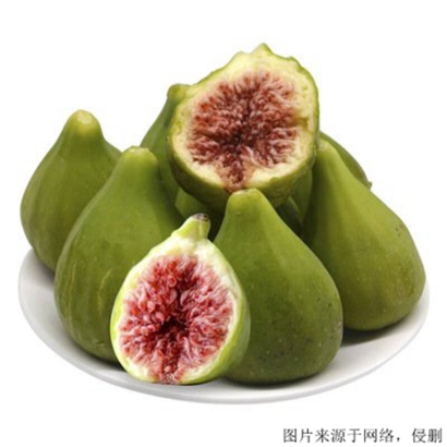 常州進(jìn)口食品報(bào)關(guān)_了解土耳其無花果的進(jìn)口流程與優(yōu)勢