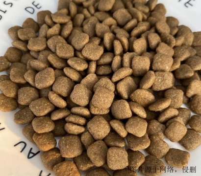 狗糧進口清關流程怎么操作？廣州狗糧進口報關資料