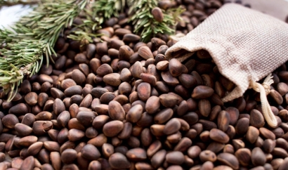 松子進口清關(guān)公司 一站式進口代理服務