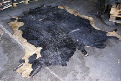 美國(guó)牛皮進(jìn)口報(bào)關(guān)費(fèi)用_牛皮皮革進(jìn)口清關(guān)注意事項(xiàng)