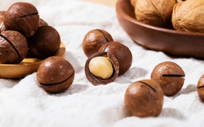 柬埔寨夏威夷果進(jìn)口清關(guān)怎么操作