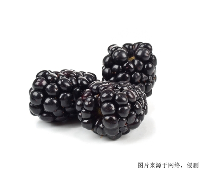 濟南食品進口報關，伊朗桑葚進口怎么報關？