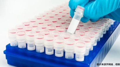 上海進口生物試劑報關流程_進口生物試劑上海報關步驟