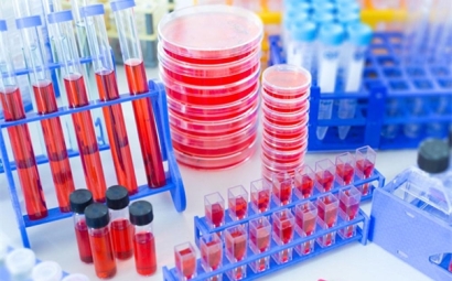 進口細胞清關需要哪些資料，了解一下！