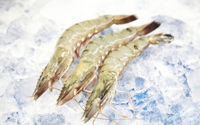 冷凍蝦進口清關代理