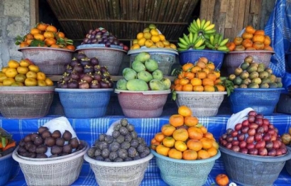 東南亞水果進(jìn)口報(bào)關(guān)代理是怎樣的呢？