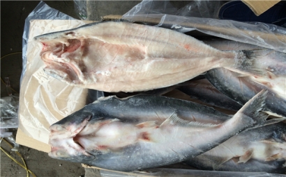 空運海鮮進口報關一般貿易進口需要注意這些，來看看? 