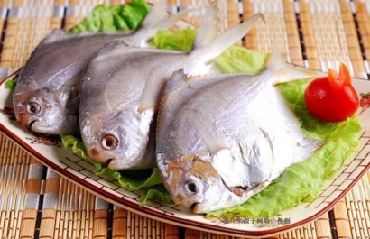 廣州南沙凍鯧魚進口報關(guān)資料_厄瓜多爾準入水產(chǎn)品