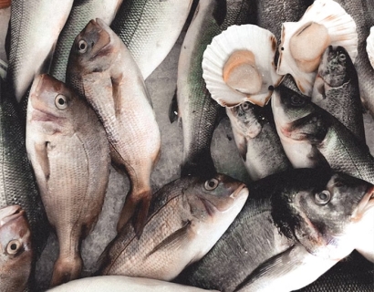 大連進口海鮮清關(guān)代理之前，務(wù)必要確定好這幾點