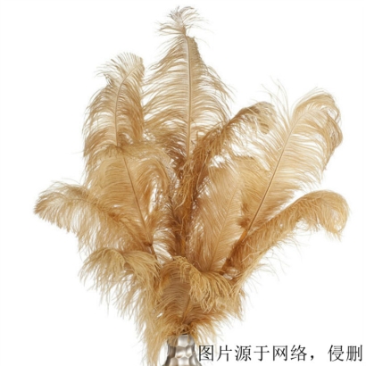 英國水洗鴕鳥羽毛進口報關資料_羽絨清關注意事項