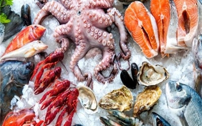 美國冷凍海鮮進口報關的相關問答，了解一下