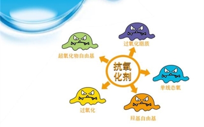 進(jìn)口抗氧化劑清關(guān)所需時間