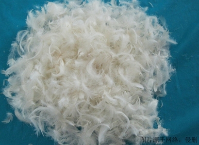 越南水洗鴨毛進口報關資料_上海羽絨進口清關流程