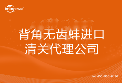 背角無齒蚌進口清關(guān)代理公司