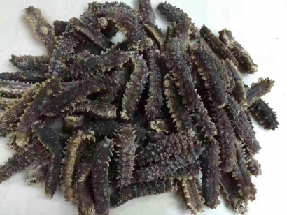 印尼海參進(jìn)口清關(guān)公司告訴你海參進(jìn)口報關(guān)手續(xù)