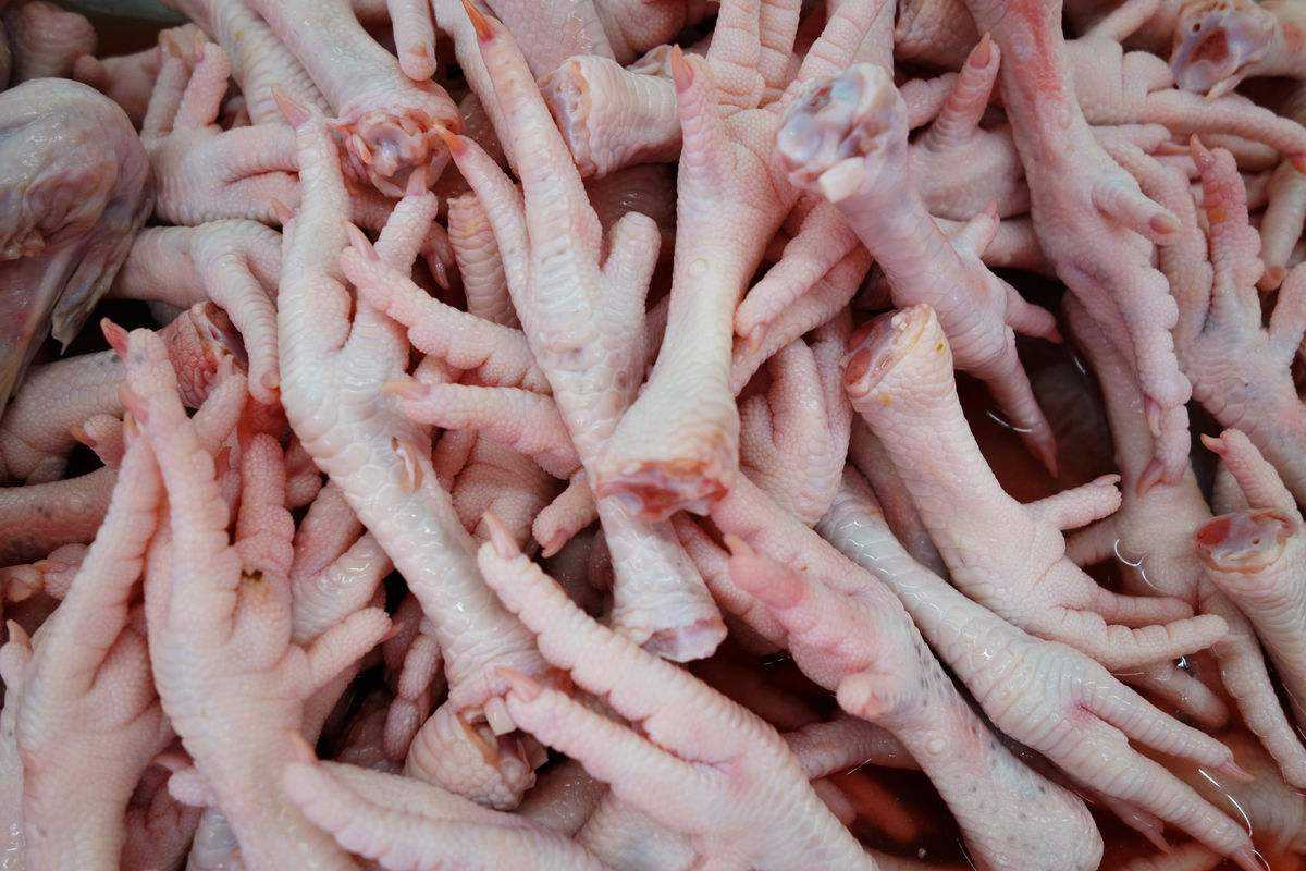 天津雞爪進口報關(guān)費用以及流程手續(xù)資料「快速通關(guān)」