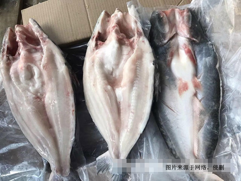 越南冷凍巴沙魚進(jìn)口報(bào)關(guān)資料 越南冷凍巴沙魚進(jìn)口報(bào)關(guān)資料