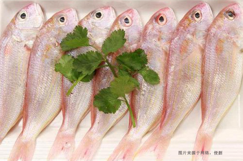 越南冷凍魚進口清關流程 越南冷凍魚進口清關流程