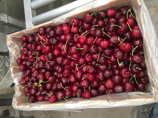 上海進(jìn)口車(chē)?yán)遄忧尻P(guān)代理