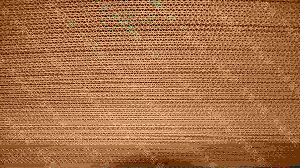 1628162611897122.jpg 瓦楞紙進口報關代理_副本.jpg