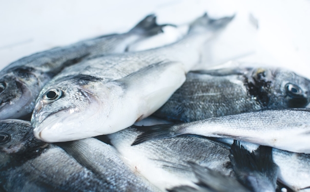 冷凍魚進(jìn)口報(bào)關(guān)注意事項(xiàng)有這些,參考一下 冷凍魚進(jìn)口報(bào)關(guān)