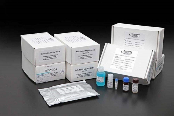 1639982035396984.jpg 美國進(jìn)口生物試劑報關(guān)常見問題_副本.jpg