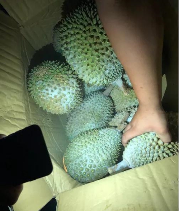 1637923437339410.jpg 泰國進口榴蓮清關(guān)公司_副本.jpg