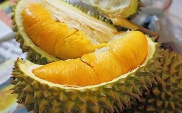 進(jìn)口馬來(lái)西亞榴蓮清關(guān)為大家講解3大重要內(nèi)容 進(jìn)口馬來(lái)西亞榴蓮清關(guān)