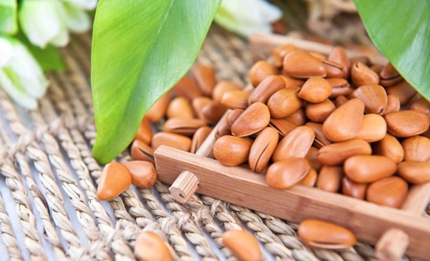 1638359293842857.jpg 進口阿富汗松子清關代理公司_副本.jpg