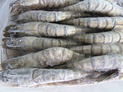 1577409209369731.jpg 海鮮進口報關(guān)代理公司